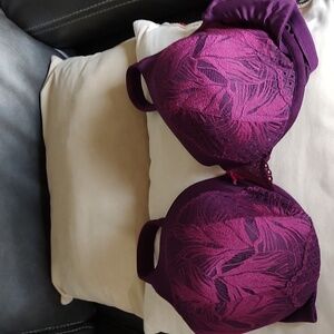 Cacique Purple Bra